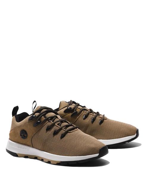 TIMBERLAND SPRINT TREKKER Low Knit Turnschuhe versteinerte Eiche - Herrenschuhe