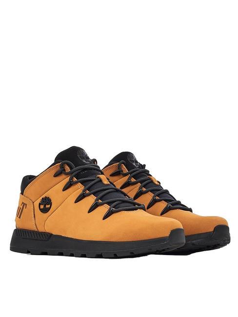 TIMBERLAND SPRINT TREKKER  Ledersneaker Weizen - Herrenschuhe